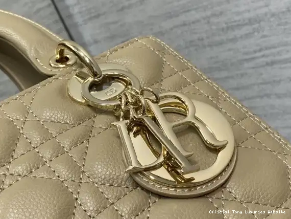 Tony Luxuries Lady diro Gold large Calfskin-24cm 0629